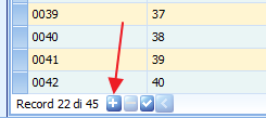 Pulsante [+] per creare una nuova riga